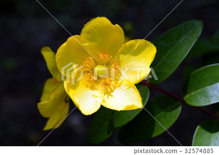 70048 Kinshai 32574885