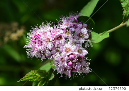 70053 Shimotsuke 70053 Shimotsuke 32574890