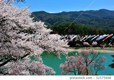 Arakiyama Park 32575606