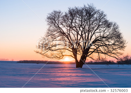 Winter's Hale Nile 8 Winter's Hale Nile 8 32576003