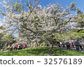 Yoshino Sakura 32576189