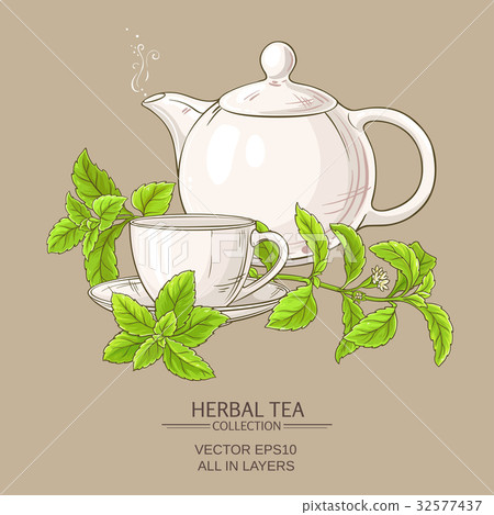 stevia tea illustration 32577437
