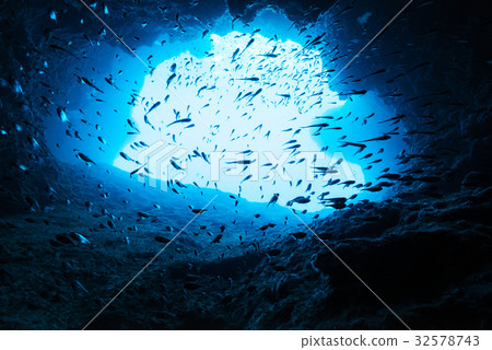 A group of hat-tumo in the cave A group of hat-tumo in the cave 32578743