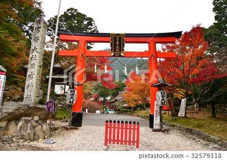 Sakamoto Hiyoshi Taisha Torii and burning autumn leaves 32579318