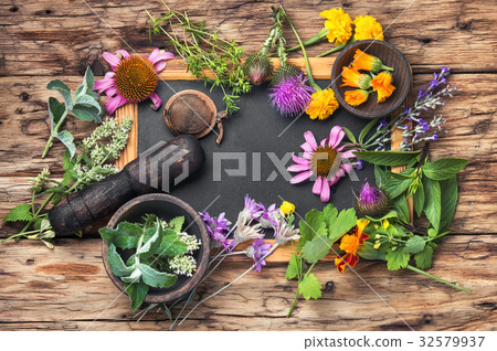 Group healthy herbs 32579937