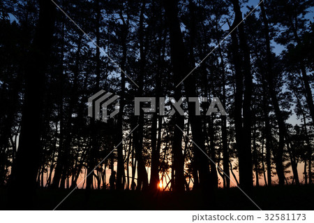 A sunset silhouette image A sunset silhouette image 32581173