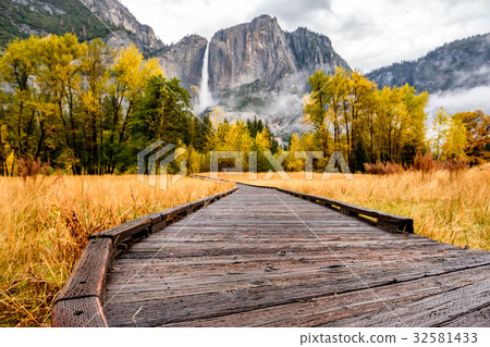 Meadow with boardwalk in Yosemite National Park Meadow with boardwalk in Yosemite National Park 32581433