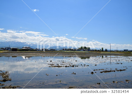 立山山脈和春天的鄉村風景(富山) 立山山脈和春天的鄉村風景(富山) 32581454