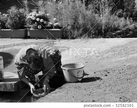 grandmother grandmother 32582101