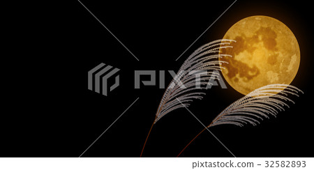 Moon Full Moon Juvenoline Background Moon Full Moon Juvenoline Background 32582893