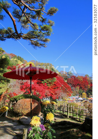Kasumigajo Park in autumn (Nipponmatsu City) 32583077
