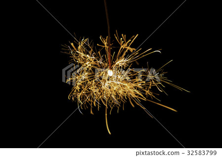 脆弱的美麗的蜘蛛煙花 32583799