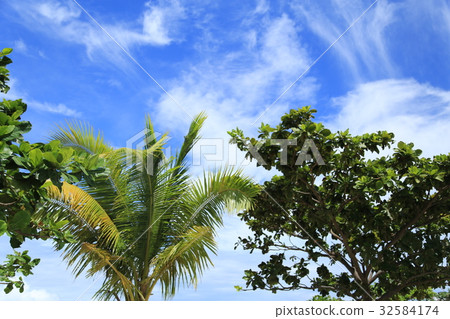 Sky of Cebu Island 32584174