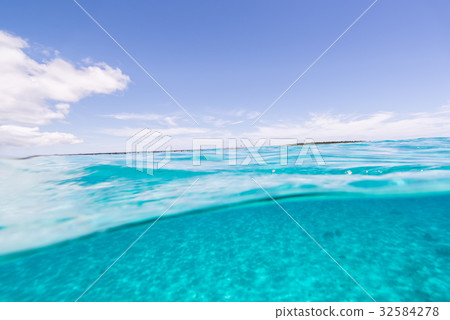 Miyako Blue Miyako Blue 32584278