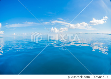  Betta海平靜 32584404