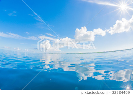  Betta海平靜 32584409