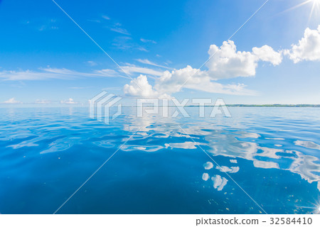 Betta海平靜 Betta海平靜 32584410