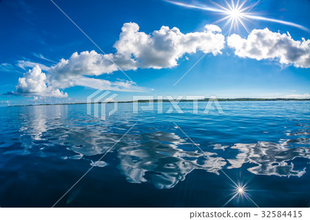  Betta海平靜 32584415