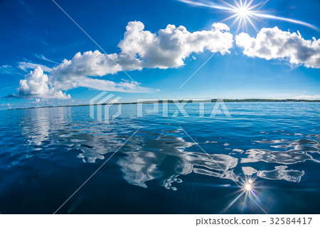  Betta海平靜 32584417