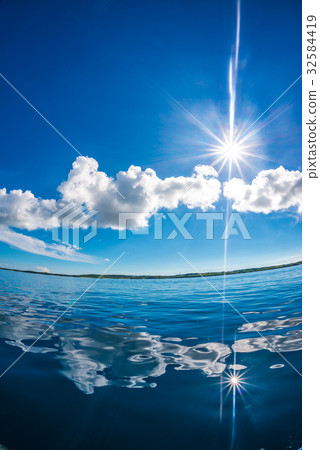  Betta海平靜 32584419