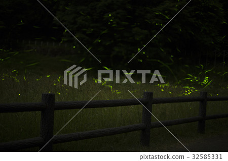 tatsuno firefly park 32585331