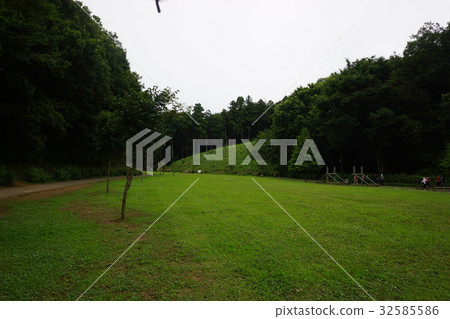Aihara Central Park in summer 32585586