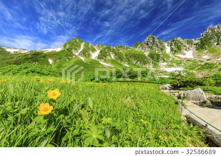 Senjakikikaru Senjakikikaru 32586689