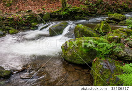 cascade on the little stream with stones in forest cascade on the little stream with stones in forest 32586817