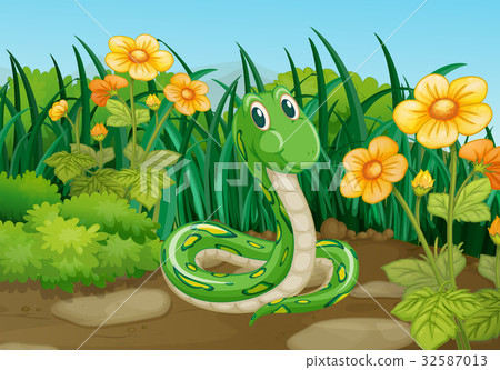 Green snake in garden 32587013