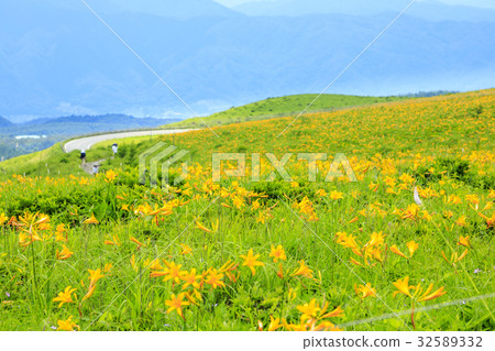 Nikkowige開花Kirigamine Nikkowige開花Kirigamine 32589332