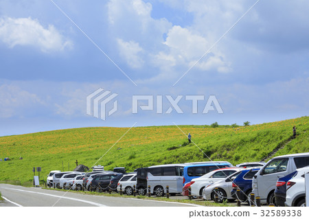Nikkowige blooms Kirigamine 32589338