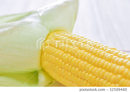 Corn Corn 32589480