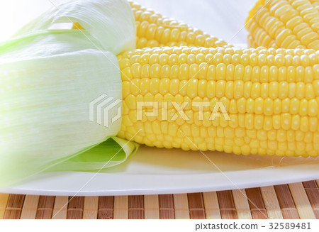 Corn 32589481