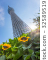 Sunflower and Sky Tree 32589519