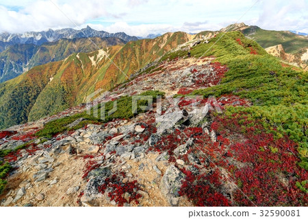 View of autumnal leaves from the Northern Alps · Mt. 32590081