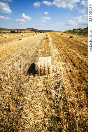 Bales of starw in a field against a blue sky Bales of starw in a field against a blue sky 32590189