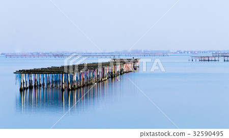 Shellfish farming from Po river lagoon, Italy Shellfish farming from Po river lagoon, Italy 32590495