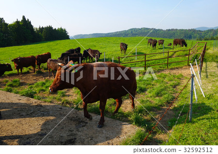 Farm in the plateau Farm in the plateau 32592512