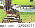 Stump Tajima ranch park 32592955