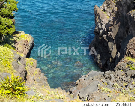 靠近Jogasaki海岸吊橋 32596631