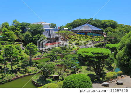 Izu Cactus Animal Park of Man Green 32597866