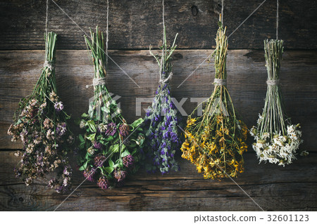 Hanging bunches of medicinal herbs and flowers. 32601123
