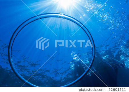 bubble ring bubble ring 32601511