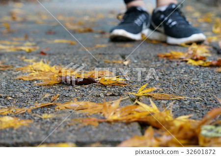 秋葉和人的腳落在路上 秋葉和人的腳落在路上 32601872