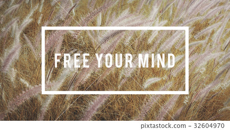 Peaceful Nature Tranquil Relaxation Freedom Peaceful Nature Tranquil Relaxation Freedom 32604970