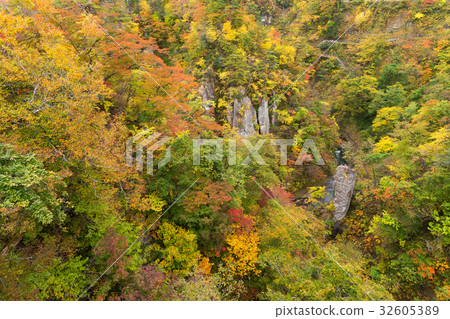 Naruko canyon in autumn season 32605389