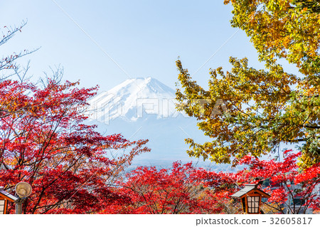 Mountain Fuji and maple tree Mountain Fuji and maple tree 32605817