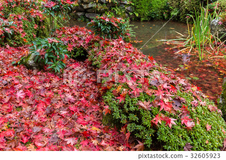 Japanese garden in autumn season 32605923