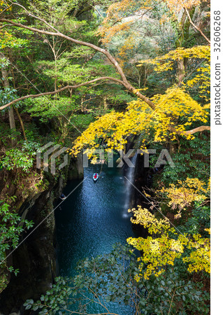 Yellow leaves in Takachiho Gorge Yellow leaves in Takachiho Gorge 32606268