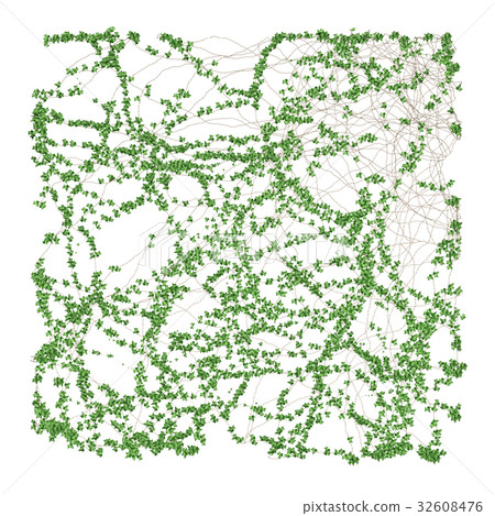 常春藤材料 常春藤材料 32608476